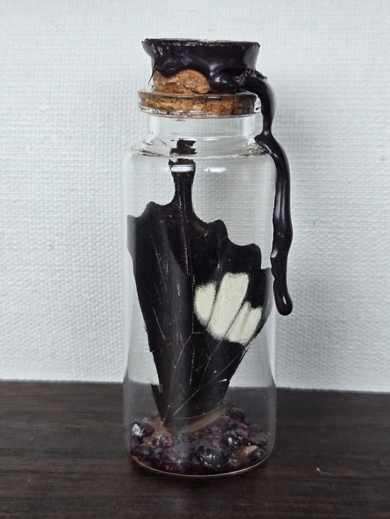Handmade Other - Glass Vial with Butterfly Wing